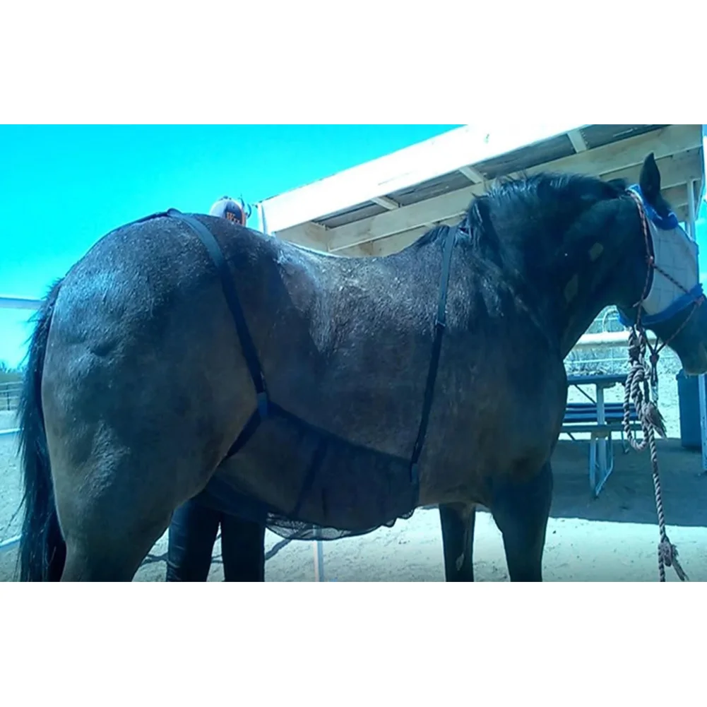 Bite Mesh Breathable Horse Abdomen Adjustable Outdoor Protective Cover Rug Fly Elasticity Net Anti-mosquito Anti-scratch | Спорт и