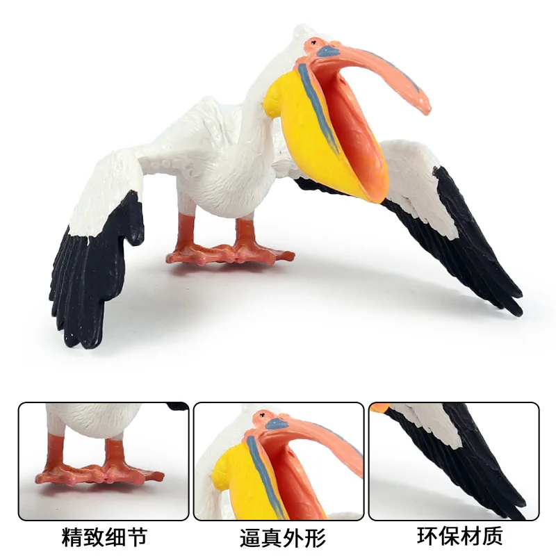 Pelican животных статуэтки коллекционные игрушки с рисунками птиц и познание