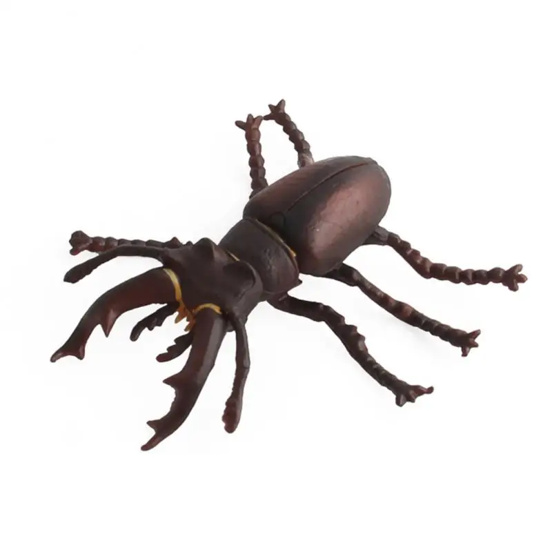 

Insect Simulation Model Toys For Children Bug Children Educational Resource High Reallistic Insects Kid Toy Figures