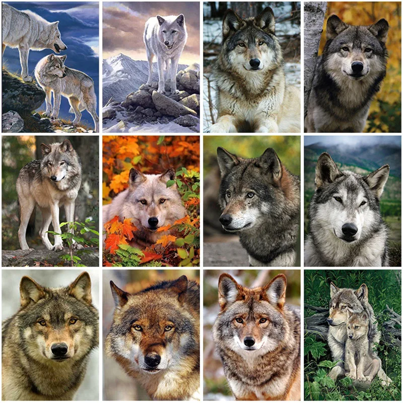 

Diy 5d Diamond Painting Full Square Drill Wolf Cross Stitch Rhinestone Mosaic Diamond Embroidery Animals Needlework Home Decor