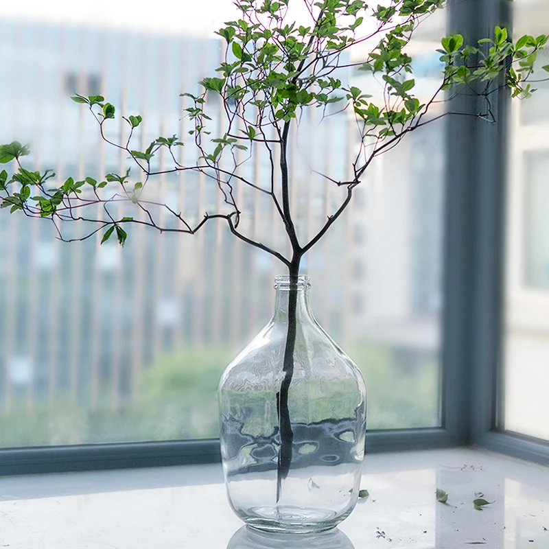 Стеклянная ваза прозрачные уличные современные дизайнерские декоративные вазы