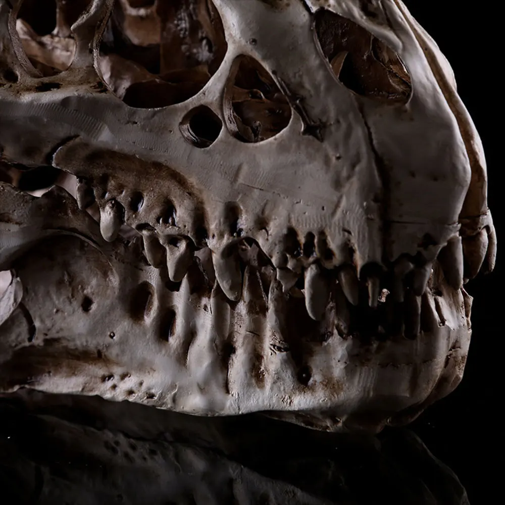 Аквариумные украшения SOLEDI реалистичный тираннозавр Реплика подарки с черепами