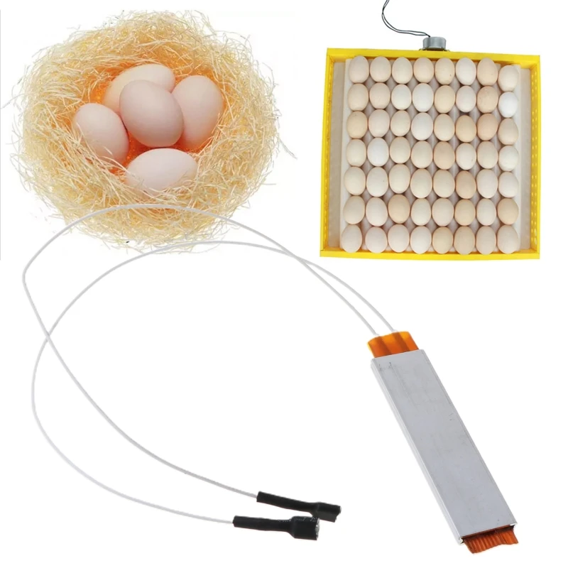 A5KB Heating Incubator Heater Element Plate For Eggs Accessories 12V | Дом и сад