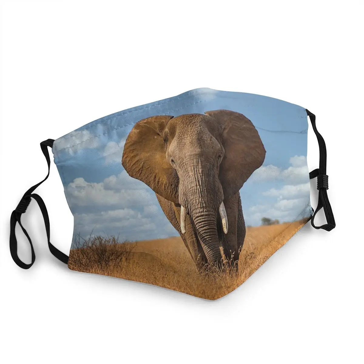 

African Elephant In Kruger National Park Non-Disposable Face Mask Anti Haze Dust Mask Protection Cover Respirator Mouth Muffle