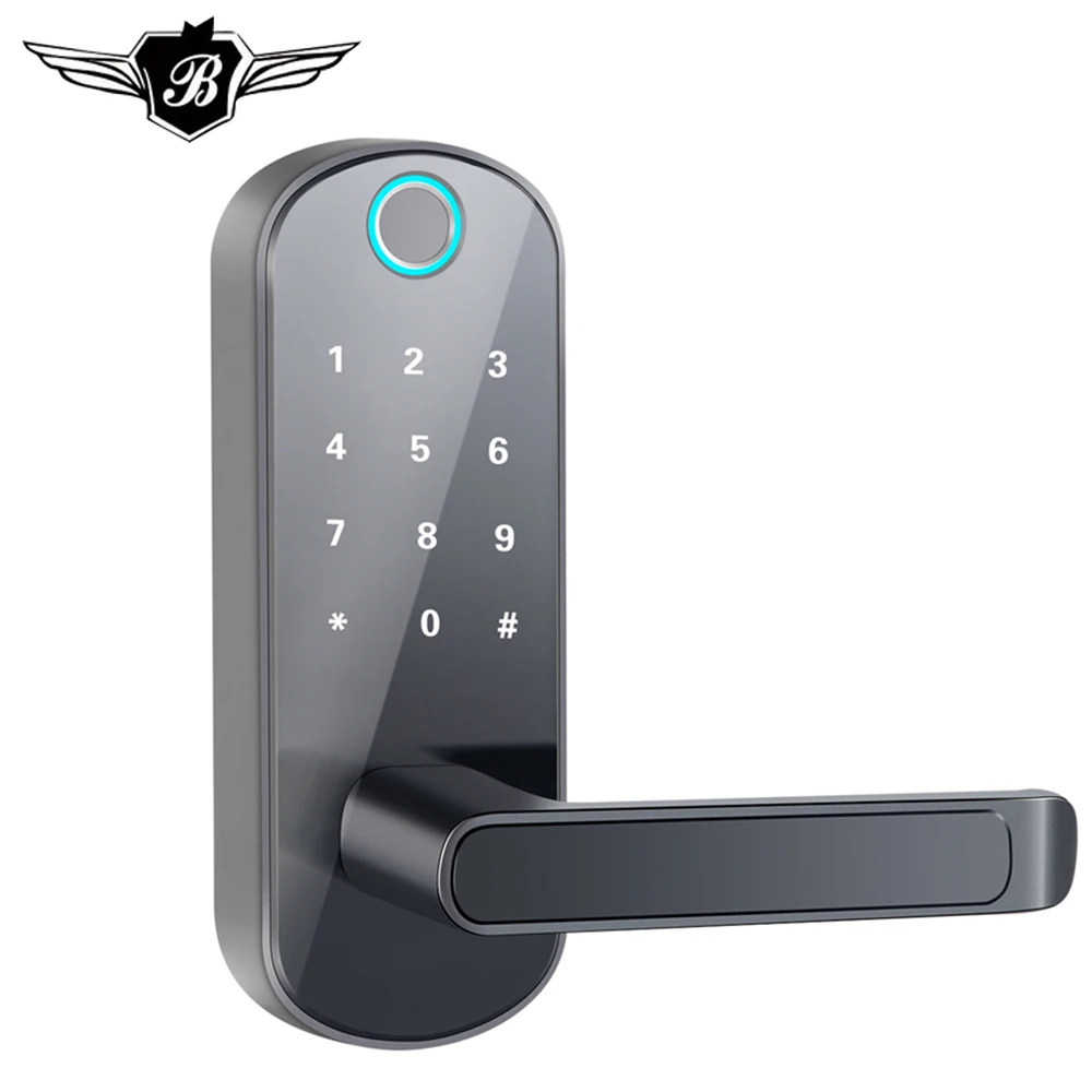 Биометрическая безопасность интеллектуальная отпечатков пальцев домашний