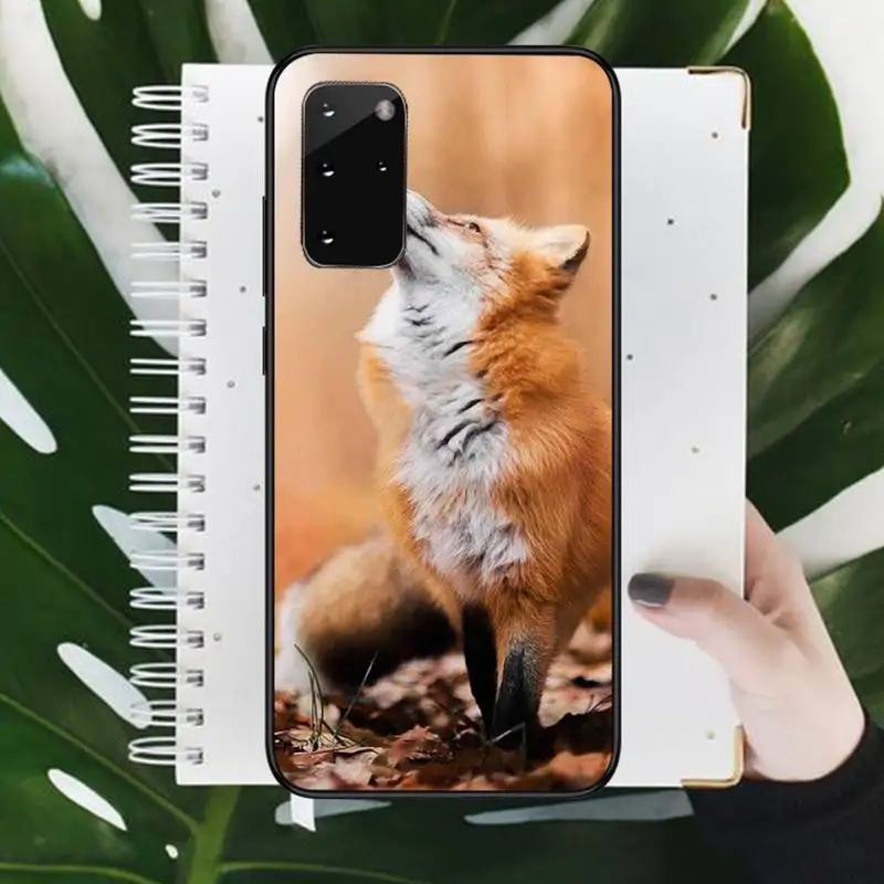 

Red Fox Phone Case For Samsung galaxy S 7 8 9 10 20 edge A 6 10 20 30 50 51 70 note 10 plus