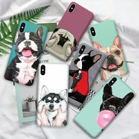 cute pet dog case for iphone 11 12 pro max xr x xs max 5 5s se 2020 7 8 6 6s plus cover
