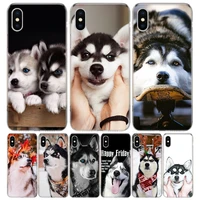 siberian husky dog silicon call phone case for apple iphone 11 13 pro max 12 mini 7 plus 6 x xr xs 8 6s se 5s cover coque cas