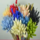 Букет красивых зеленых трав 20 шт.рука, градиентные натуральные цветы, свадьба, пасхальные украшения, кроличьи хвосты, настоящая трава