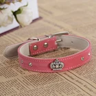 ошейник для собак ошейник для чихуахуа со стразами Мода Rhinestone Воротник замши собачий ошейник Дизайн Корона аксессуар ошейники для маленьких собак Pet Товары для собак
