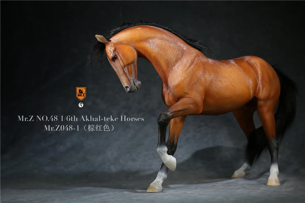 Mr.Z Animal 1/6 Akhalteke Horses Statue Ahalteke Equidae Collector Model Toy Desktop Ornaments Decoration Dolls Kids Gifts |