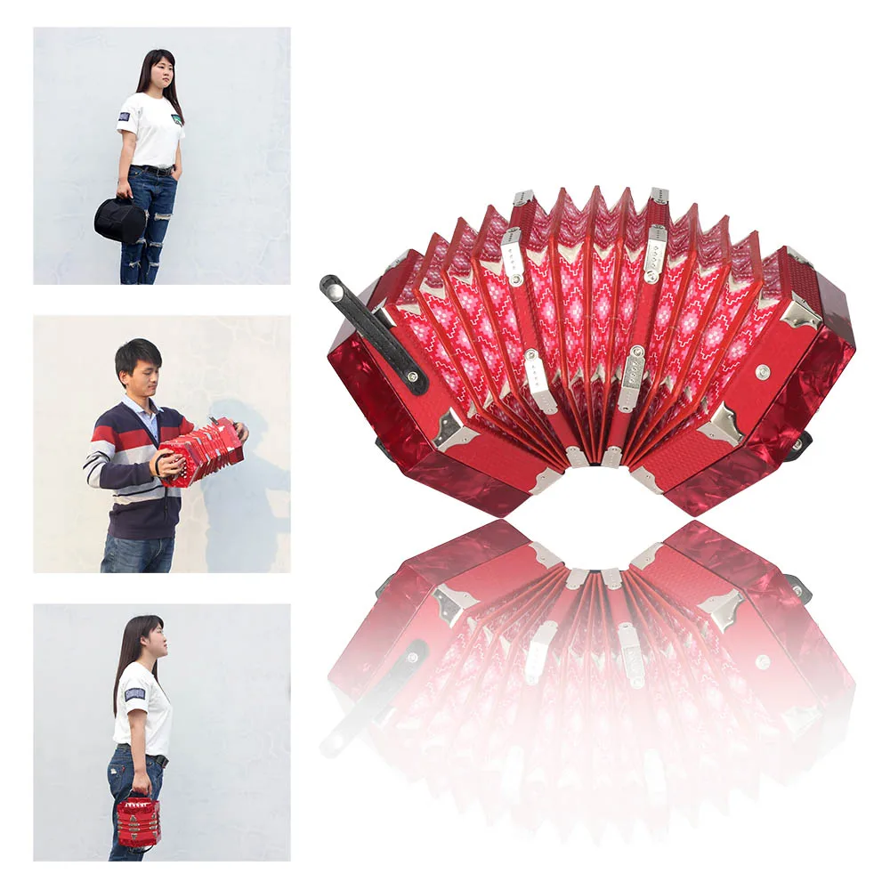 Concertina Accordion 20-Button 40-Reed Anglo Style with Carrying Bag | Спорт и развлечения
