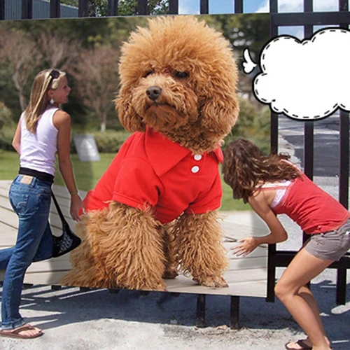 Футболка Поло для собак одежда маленьких и кошек костюм с коротким рукавом