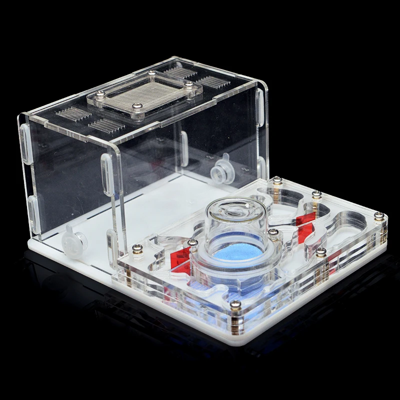 Акриловая муравьиная ферма сделай сам плоское Муравьиное гнездо муравьиный