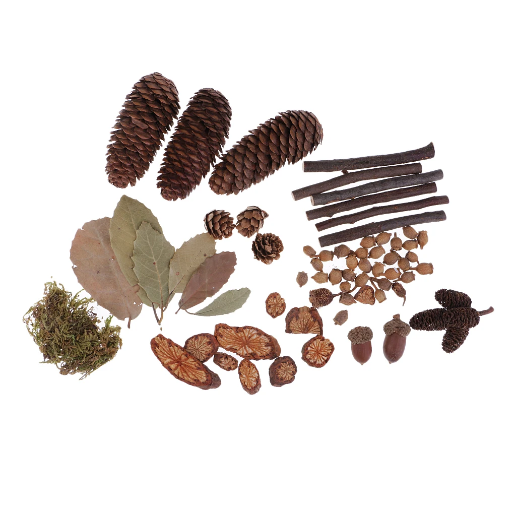 

Rustic Natural Dried Flowers Pine Cones Table Ornaments Creative Decorations