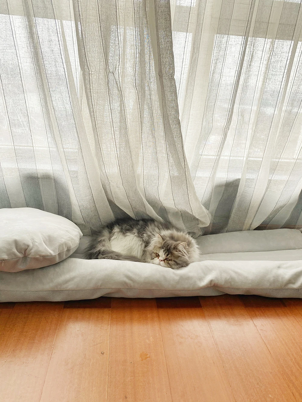 UFBemo N в 1 Кошка Кровать Дом Собака Kattenmand глубокая Спящая пещера домашние уютные