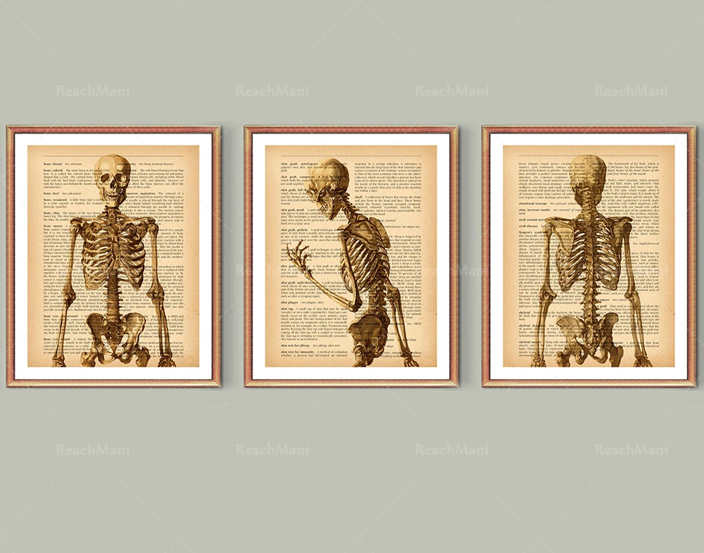 

Chiropractor Gift Poster, Vintage Anatomy Art, Medical Dictionary Painting Art, Medical Decor, Chiropractic Clinic Wall Art