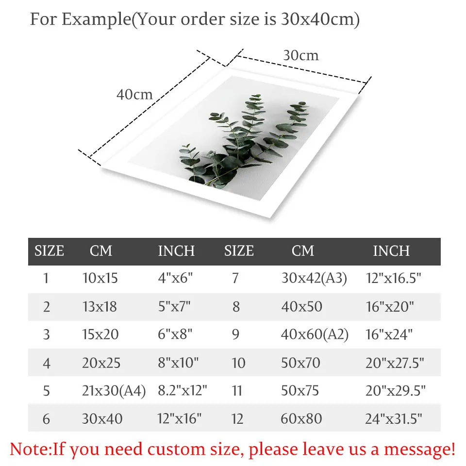 Белая Бриллиантовая ветка эвкалипта Картина на холсте настенные художественные