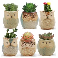 Ceramic Owl Pot Flowing Glaze Succulent Plant Pot Cactus Flowerpot Planter with a Hole Perfect WB2934