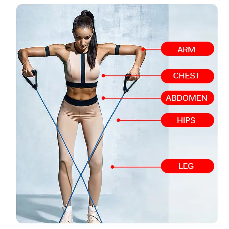 

Fitness & Body Building