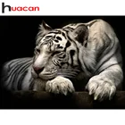 Алмазная вышивка Huacan 5D Tiger Набор для алмазной живописи с животными мозаика Вышивка крестиком Картина Стразы домашний декор