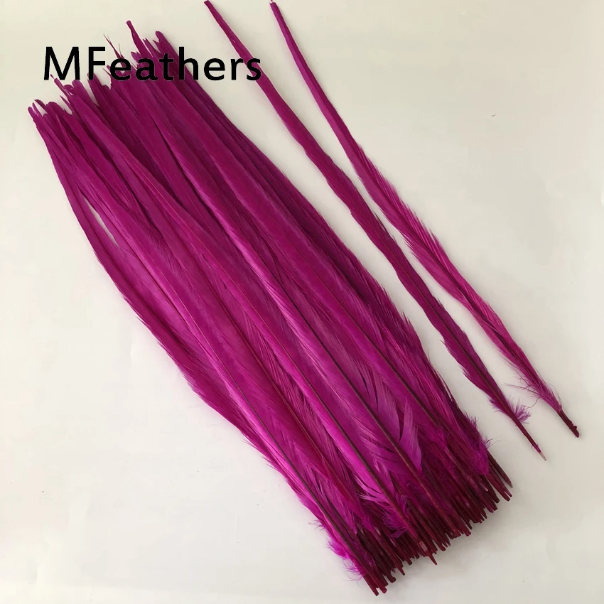 hot pink 100 шт Черный Цвет ringneck перо из хвоста фазана обесцвеченные и окрашенные перья фазана карнавал Showgirl Backpieces - Цвет: hot pink