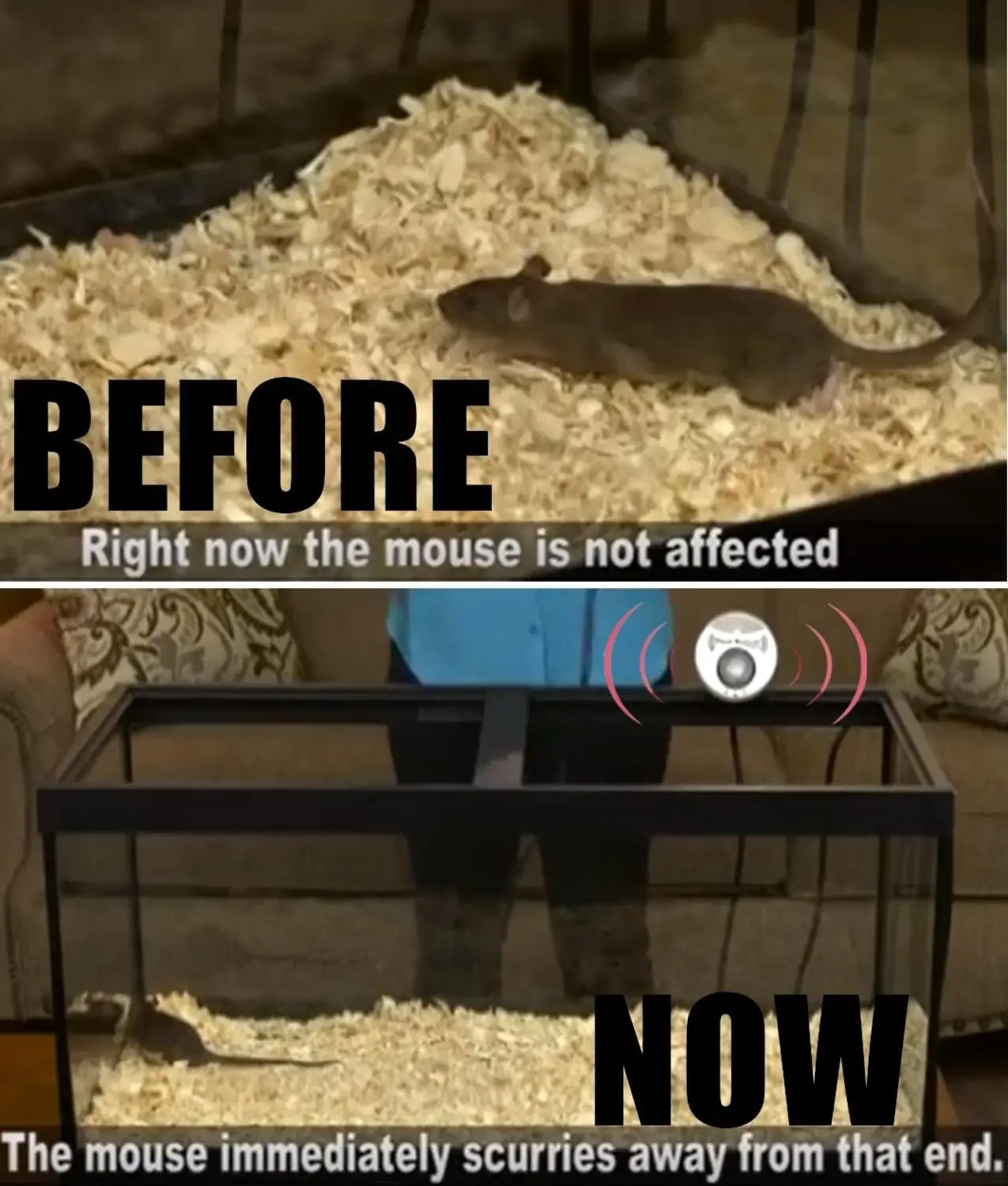 Ультразвуковой аппарат для защиты от насекомых 300 квадратных метров