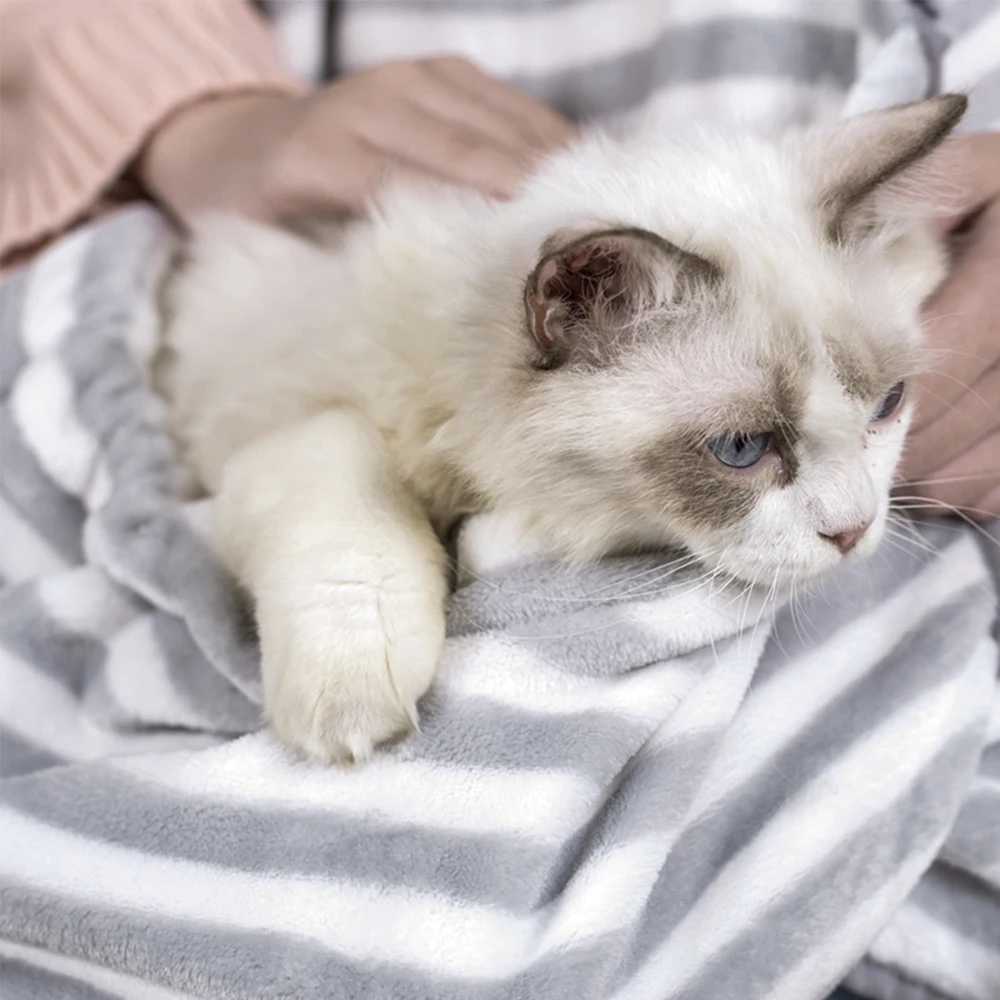 

Cat Carrier Bag Soft Comfortable Cat Dog Sleeping Bag Apron Cats Puppy Outdoor Pet Supplies Sling Bag Shoulder Travel