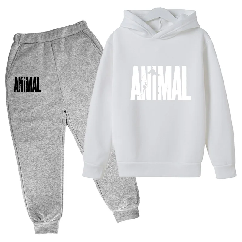 

European and American children's clothing boys clothing suits spring coat kids pants 2 pieces of clothing suits girls hoodies an