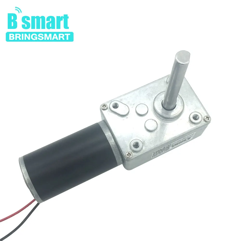 Двигатель постоянного тока 12 В 24 в вольт Bringsmart 5840 31ZY червячный мотор 51 мм вал