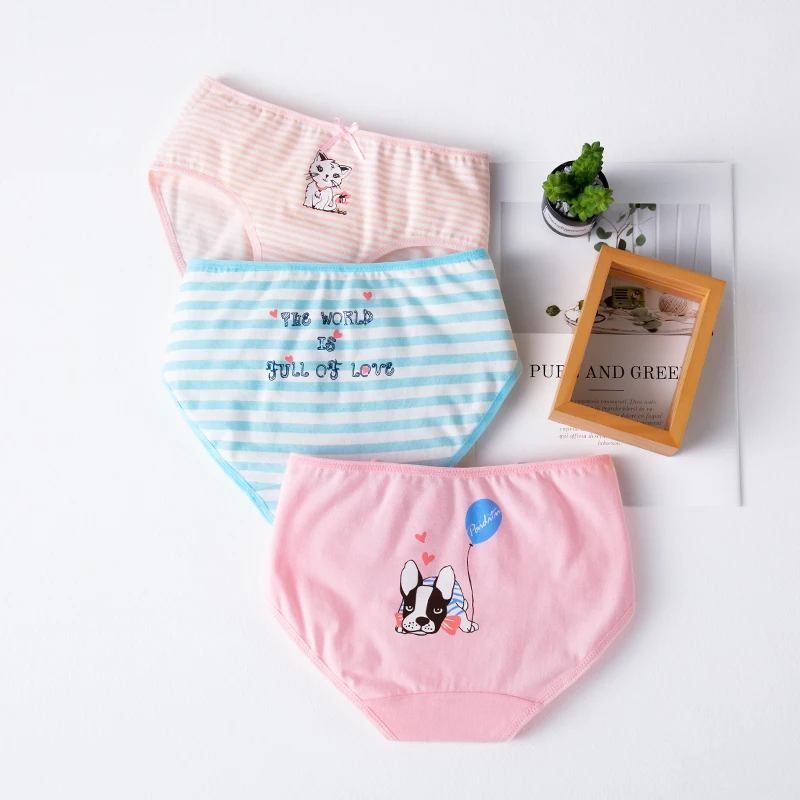 

Tobani Girls Panties 40S Cotton Briefs 3D Underpants Children Boxer Lovely Cartoon Underwear Shorts for Kid 3-13 Y 3 PCS/ Pack