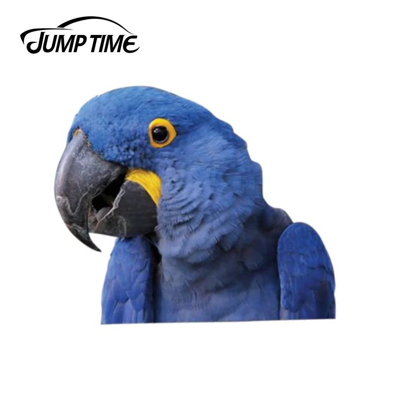 

Время скачка 13 см x 11 см гиазинт-ара, наклейка на окно, автомобильная наклейка, Виниловая наклейка на окно автомобиля, ноутбука, бампер, накле...