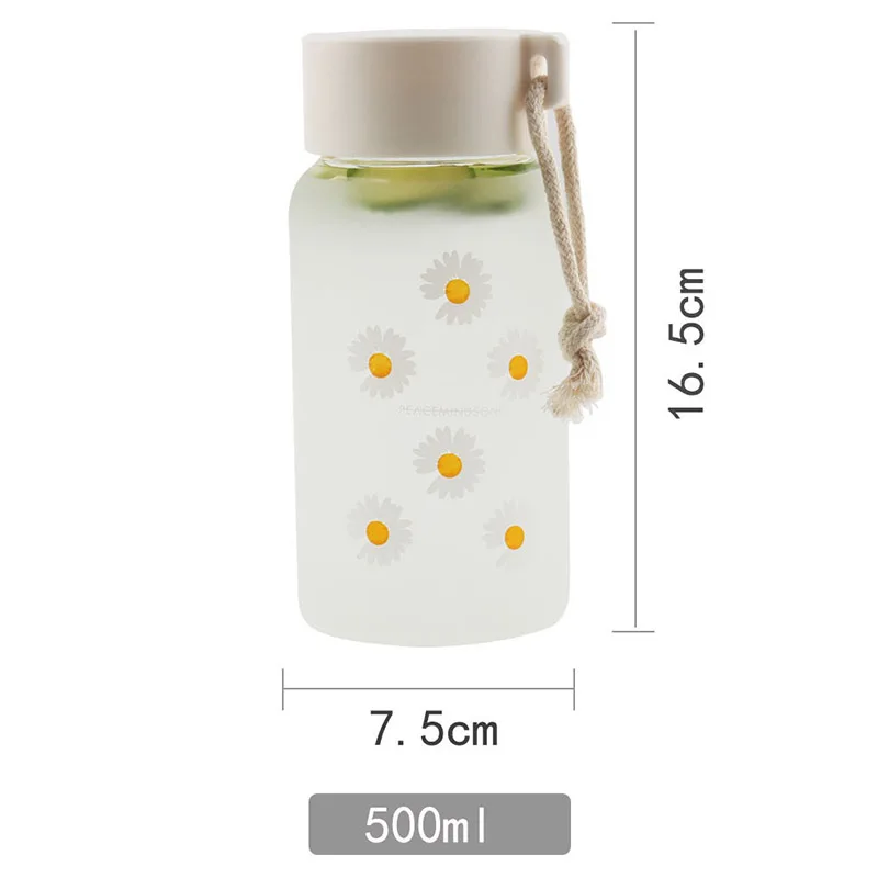 

Transparent Glass Matte Water Cup Outdoor Cold Juice Water Sports Cup with Portable Rope Water Cup 500ML