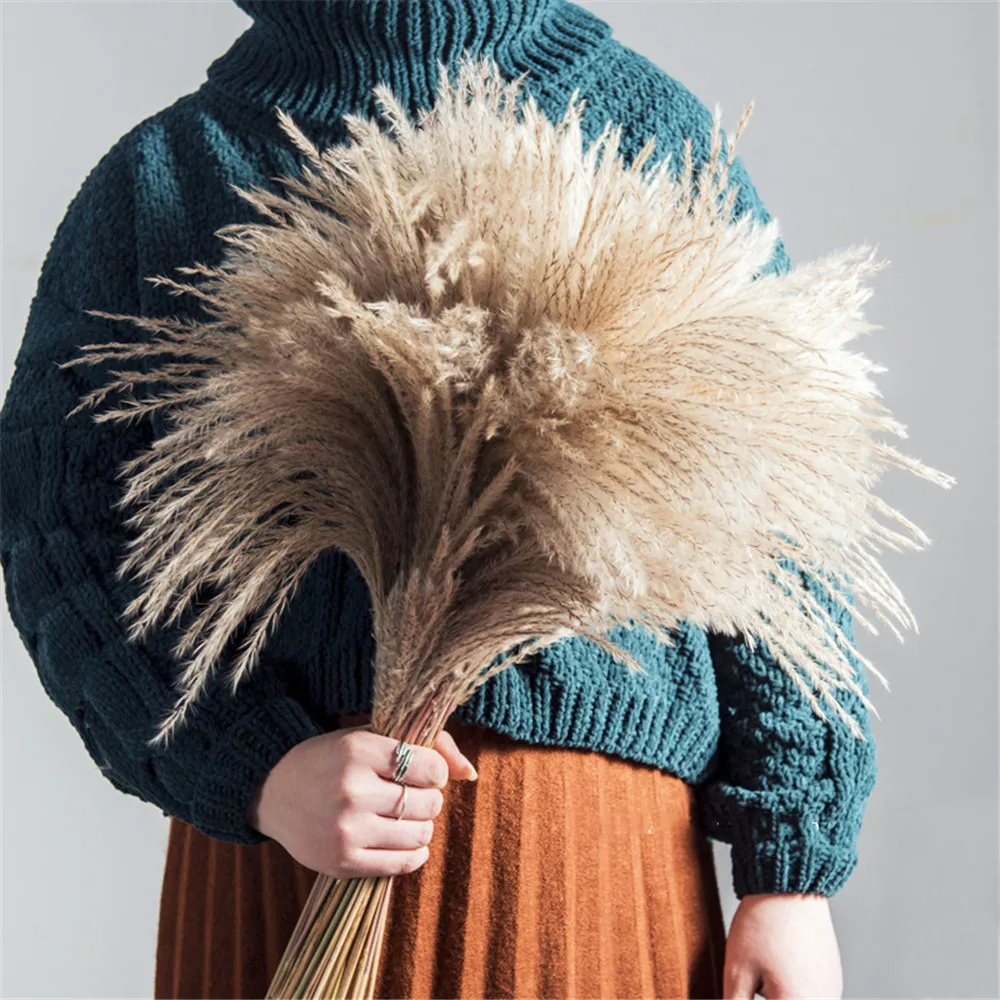 

50pcs Pampas Grass Christmas Decor Real Pampas Grass 20 Pcs Reed Natural Dried Plant Ornaments Wedding Decor Flower Bunch