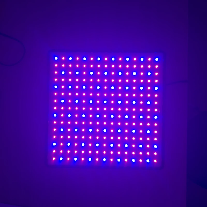 Гроу тент 500W Светодиодный Grow светильник полный спектр Фито лампы для растений в