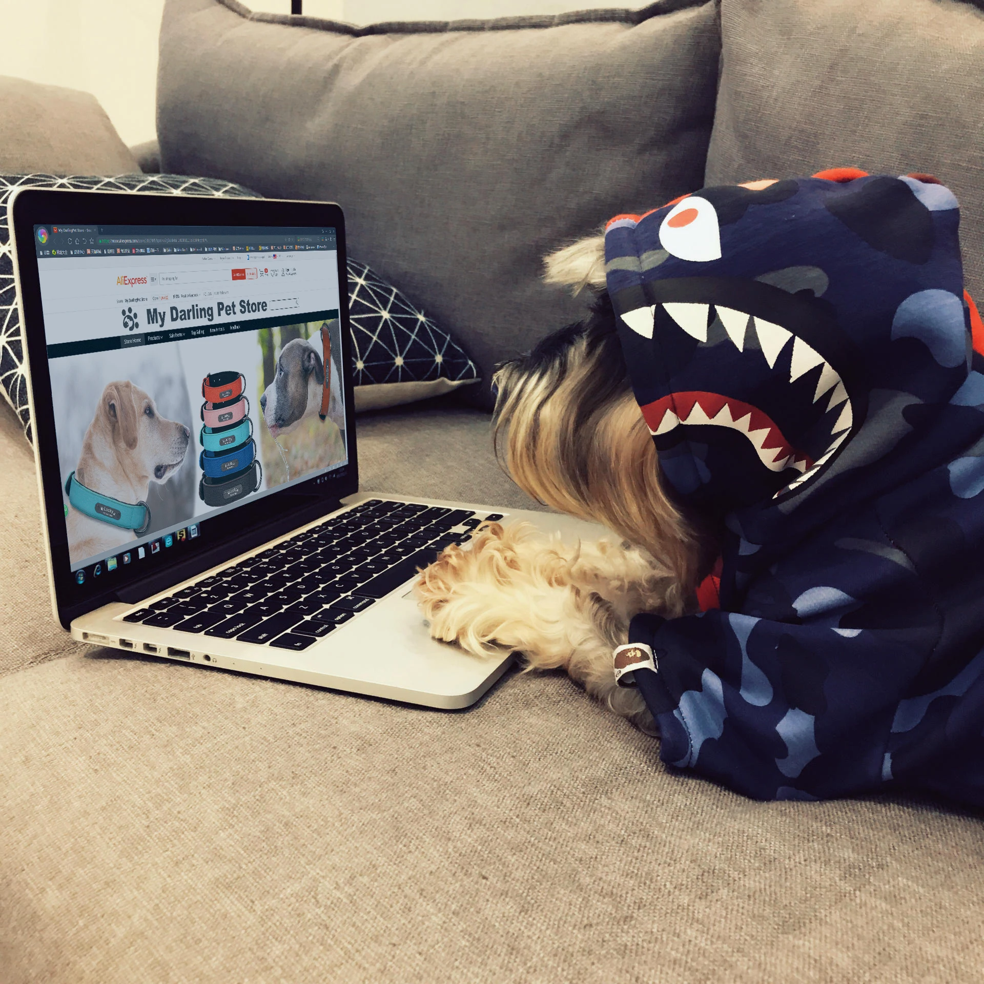 Померанская зимняя Большая маленькая одежда для домашних питомцев теплая кошек