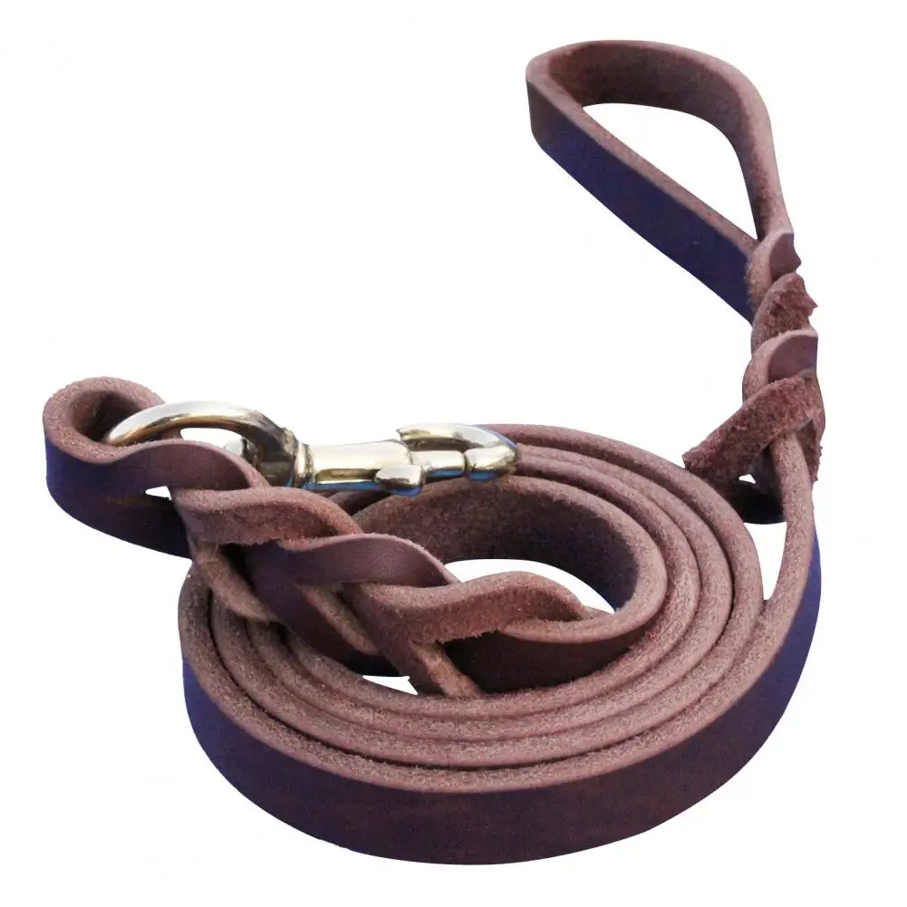 

Braided Faux Leather Dog Walking Training Leash German Shepherd Gift Pet Supply