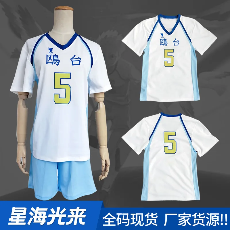 Haikyuu!! Korai Hoshiumi School Uniform T-shirt Shorts Cosplay Costume Haikiyu Volley Ball Team Jersey Sportswear sets - купить по