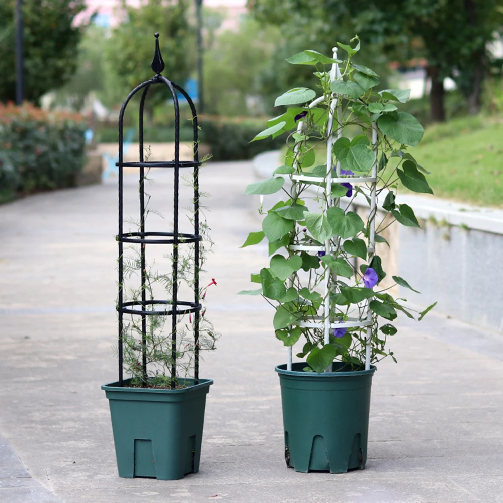 

Rose Trellis Plant Climbing Frame Plants Stand White Stainless Steel Garden 20 X 60cm Black Adjustable Natural U-Hoops