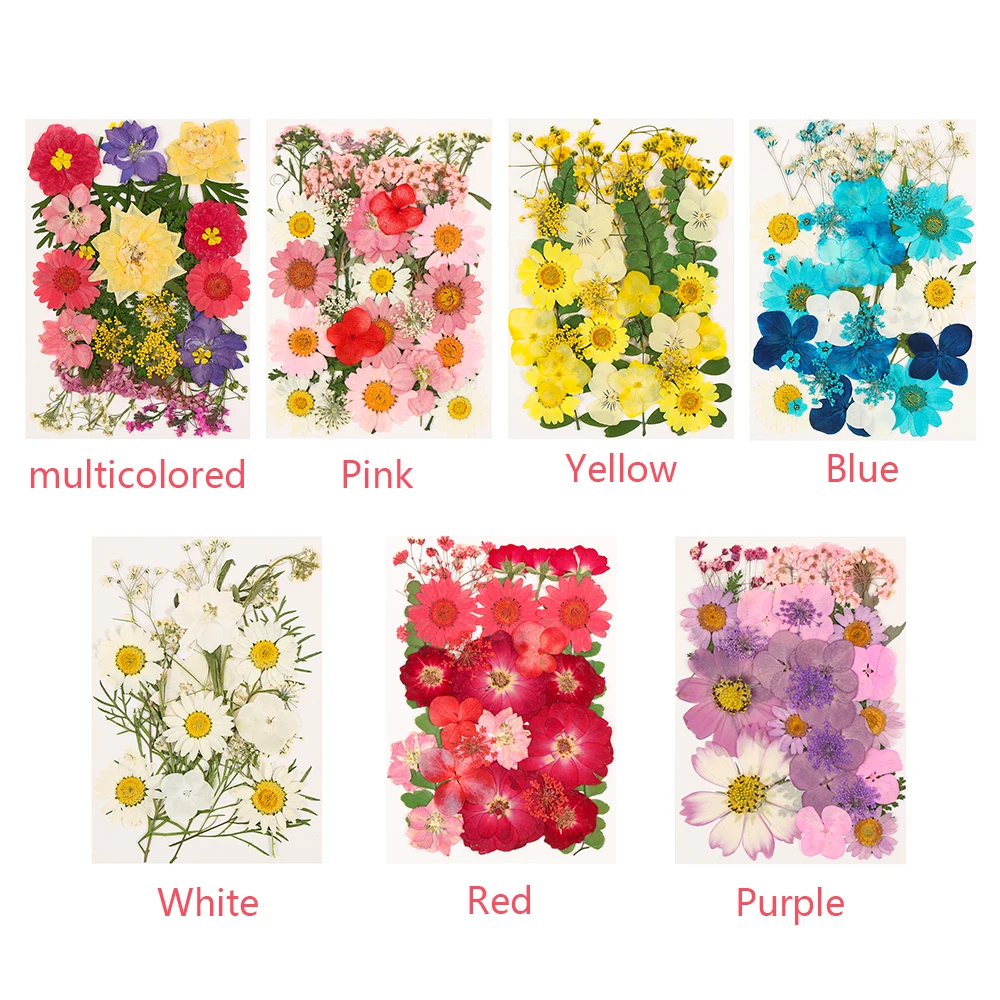 Многоцелевой 3D нажатии смешанные настоящие высушенные цветы ручной работы