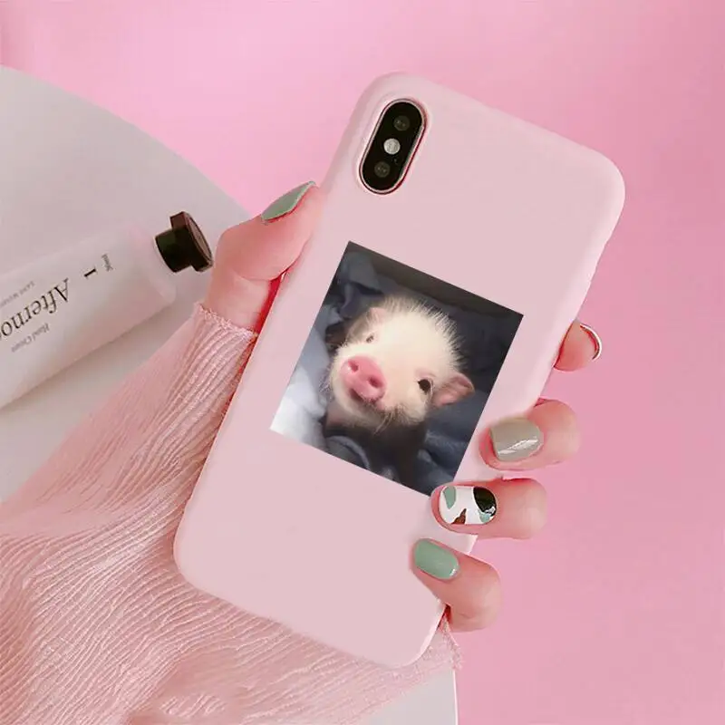 

Lovely Little Pink Pet Pig animal Phone Case Candy Color for iPhone 6 7 8 11 12 s mini pro X XS XR MAX Plus
