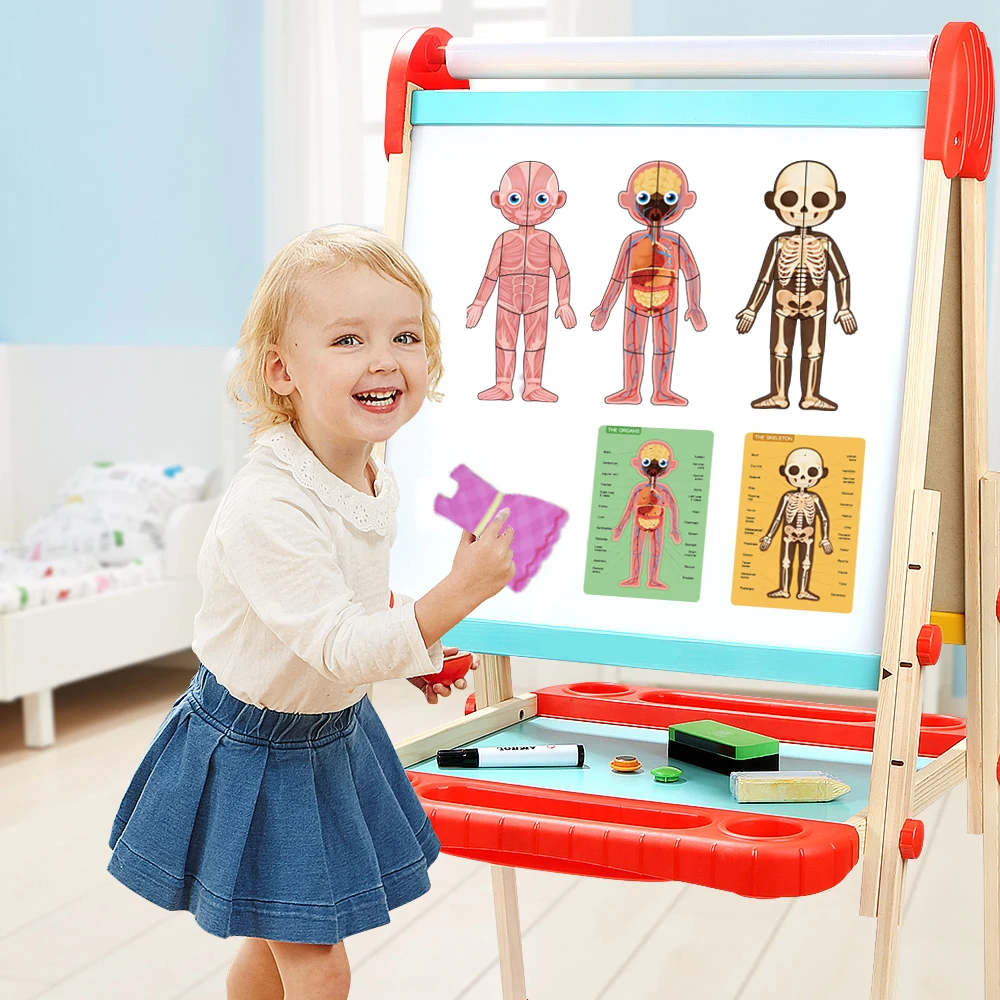 Магнитная 3D головоломка для человеческого тела конструкция игрушка Когнитивная