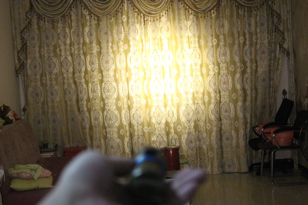 thumb