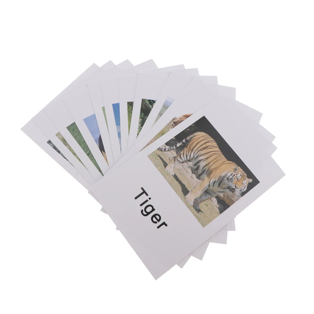 

Education Toy Wild Animal Group Model Naming Matching Cards for kids Boys Girls