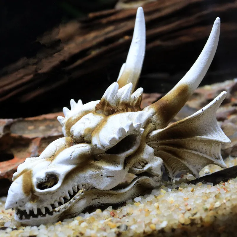 Dragon Resin Skull Head Home Accessories Animal Sculpture Figurines Crafts Horns for Aquarium Party Garden Home Halloween Decor