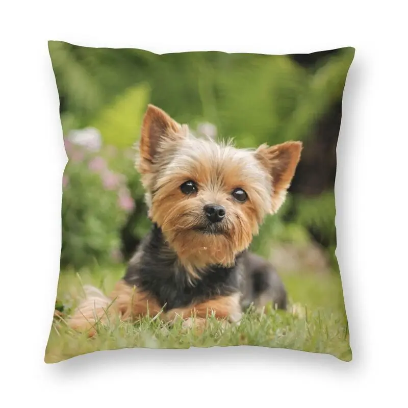 

Vibrant Yorkshire Terrier Dog Pillow Cover Home Decorative 3D Double-sided Print Animal Pattern Cushion Cover for Car