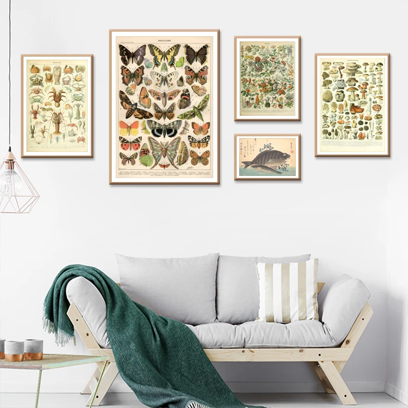 Винтажные морские растения акварельные энциклопедические иллюстрации ретро