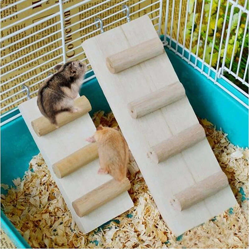 2021 птичья мышь попугай хомяк подставка платформа игровая площадка деревянная