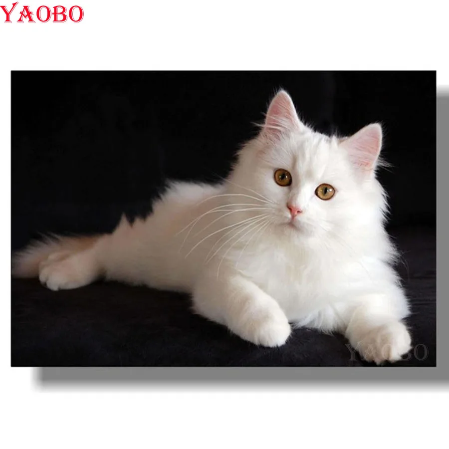 Алмазная 5D картина сделай сам белая котенок полностью квадратная круглая