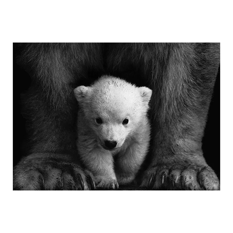 Animal Canvas Painting Modern Wall Art Black White Polar Bear Printing Poster Home Decor Pictures For Living Room No Frame | Дом и сад